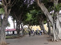 Foto 141